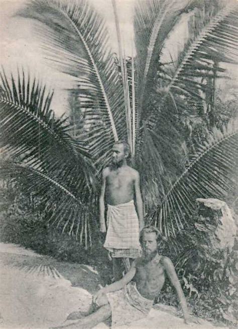 odds of being killed by a coconut|Death By Coconut: A Story Of Food Obsession Gone .